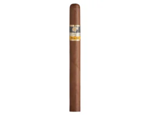 Cohiba Siglo V Cigar