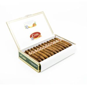 Cuaba Tradicionales Cigar
